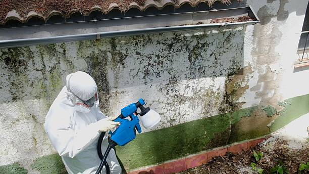 Trusted Commercial Mold Remediation service in Danville, KY - Cheap Mold Removal
